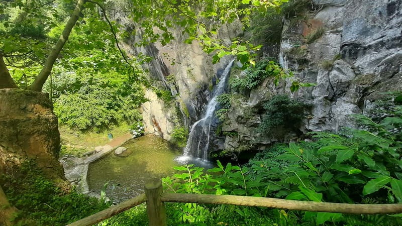 São Miguel Azores: Hike and Snorkeling with a local - What you’ll want to bring (and what’s covered)