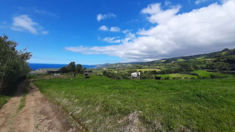 São Miguel Azores: Hike and Snorkeling with a local - Price and value: is $104 worth it?