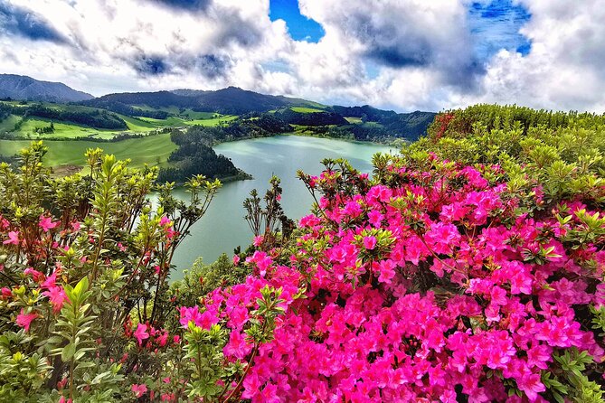 São Miguel, Azores - Private Tour 9 hours in 4 seats car "Exclusively for You" - Furnas: when geothermal São Miguel becomes the star