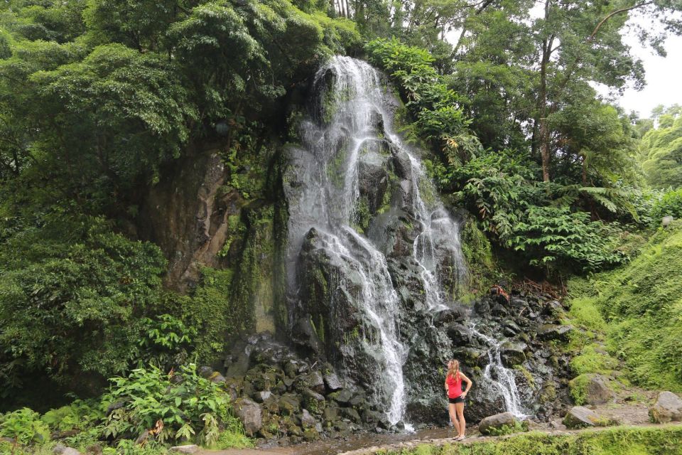 São Miguel: Furnas and Nordeste Full-Day Tour with Lunch - Tea route in the afternoon: Gorreana or Porto Formoso