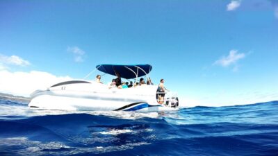 São Miguel: Glass Bottom Boat Tour with Snorkeling - The Biologist Briefing: The Fast Track to Seeing More Than Pretty Fish