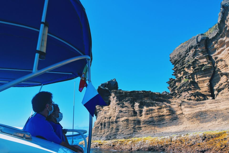 São Miguel: Glass Bottom Boat Tour with Snorkeling - What You Might See: Fish, Starfish, Sea Cucumbers, and Underwater Clues