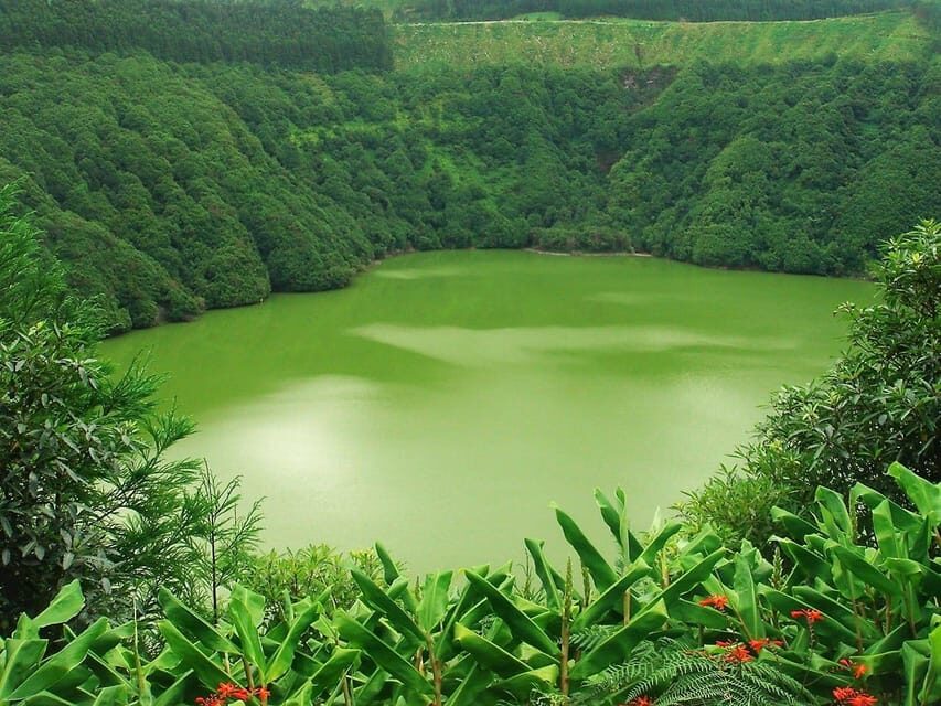 São Miguel Guided Tour to Volcano and Crater of Sete Cidades - How the guide and van format improves your day