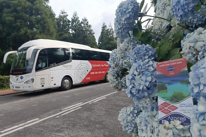São Miguel Hop-On Hop-Off Sightseeing Bus - Beyond the Views: Carvão Cave, Caldeira Velha, and Gorreana