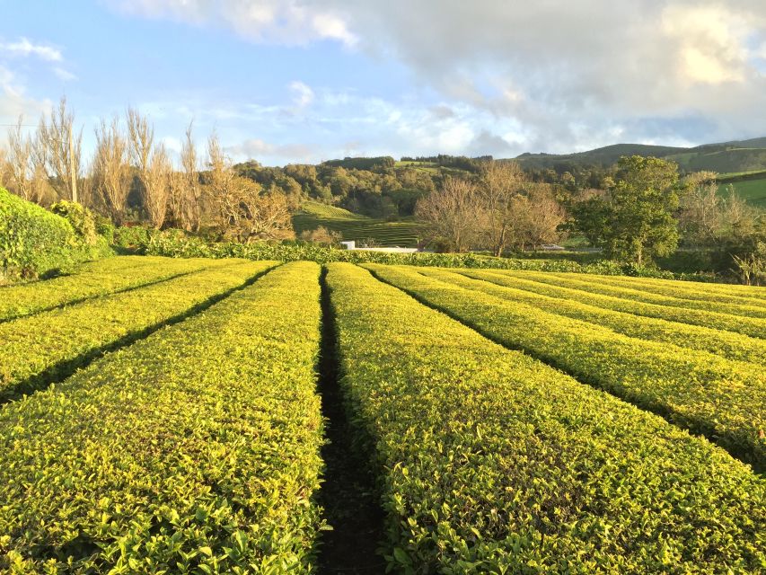 São Miguel Island: Full Day All-in-One Tour - Vista do Rei and the Sete Cidades lakes: the classic photo stop that actually explains things