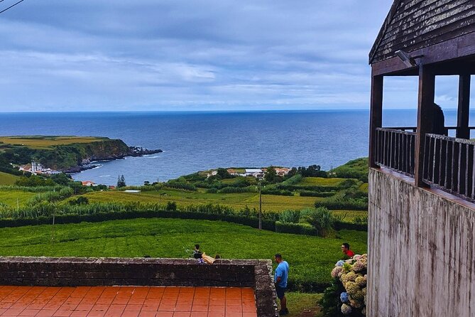 São Miguel: Majestic North Tour (Local Lunch Incl.) - Plantacoes de Chá Gorreana: tea cultivation and Europe’s full production cycle