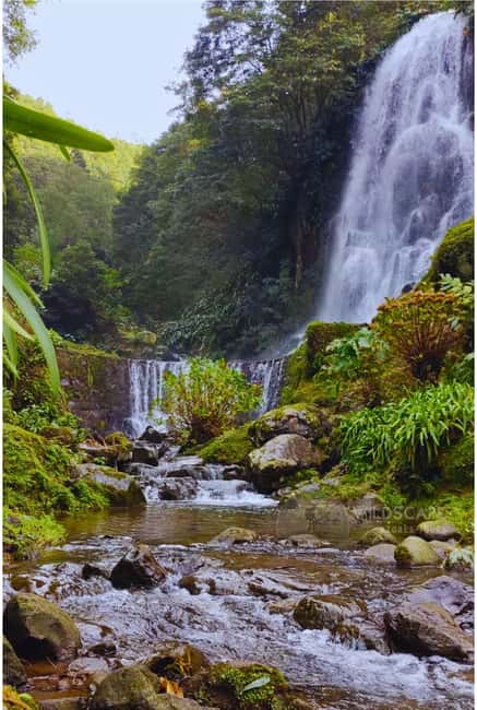 São Miguel: Majestic North Tour (Waterfalls w/Lunch) - Optional Salto do Cabrito: when your legs decide the reward