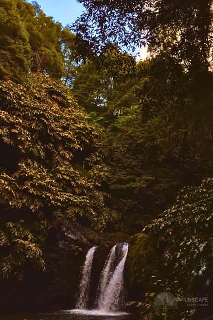 São Miguel: Majestic North Tour (Waterfalls w/Lunch) - Ribeira dos Caldeirões Natural Park: waterfall valley time