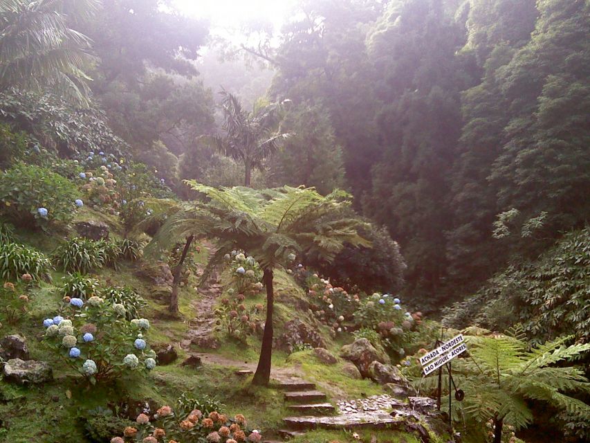 São Miguel: Nordeste, Cliffs & Waterfall Day Trip with Lunch - Key things that make this Nordeste day trip worth it