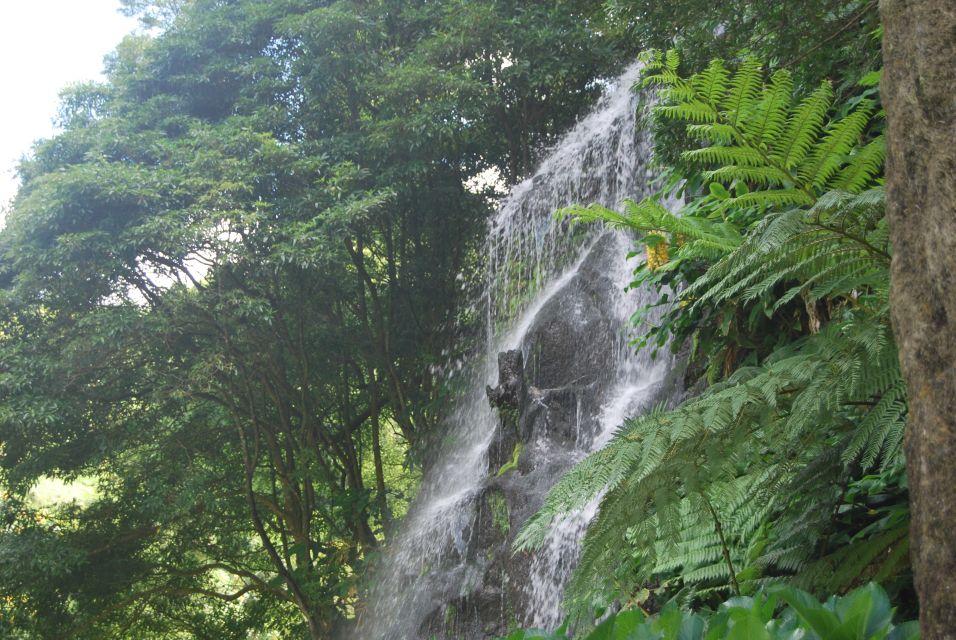 São Miguel: Nordeste, Cliffs & Waterfall Day Trip with Lunch - Why the Nordeste feels like a 10th island on São Miguel