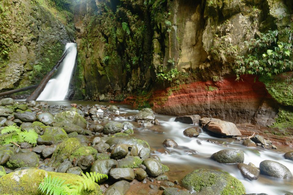 Sao Miguel: Salto do Cabrito Guided Canyoning Experience - Rappelling Three Waterfalls, Including a 15-Meter Drop