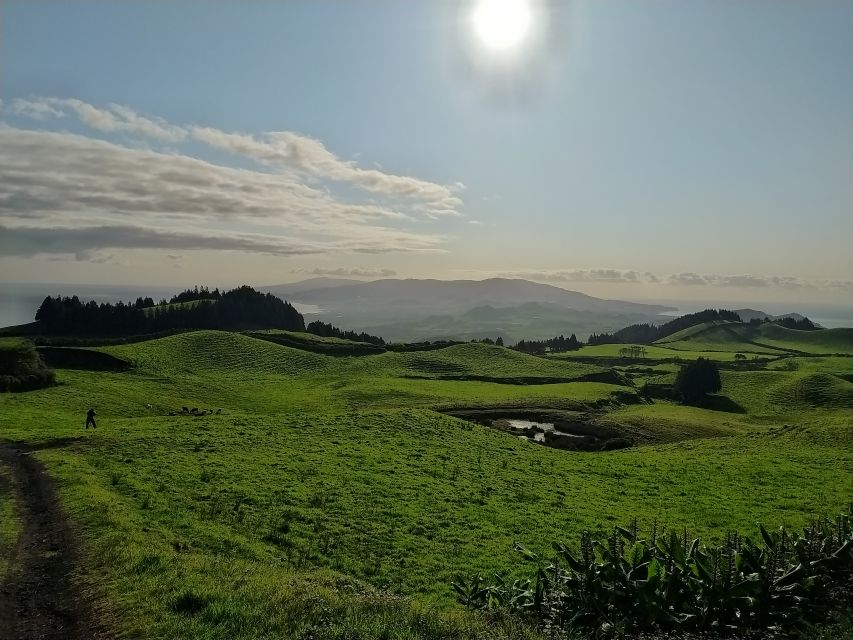 São Miguel: Sete Cidades & Lagoa do Fogo Tour with Lunch - Lunch in Lagoa: a full meal, drinks, and cheese tasting