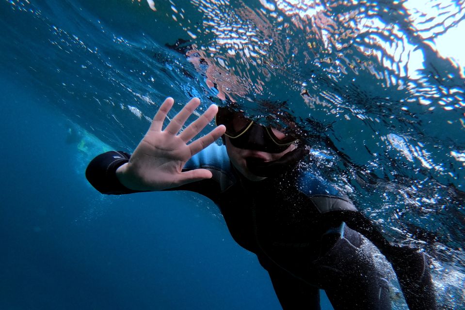 Sao Miguel: Snorkeling around Vila Franca do Campo - Vila Franca do Campo: The “Get In, Get Seeing” Part of Sao Miguel