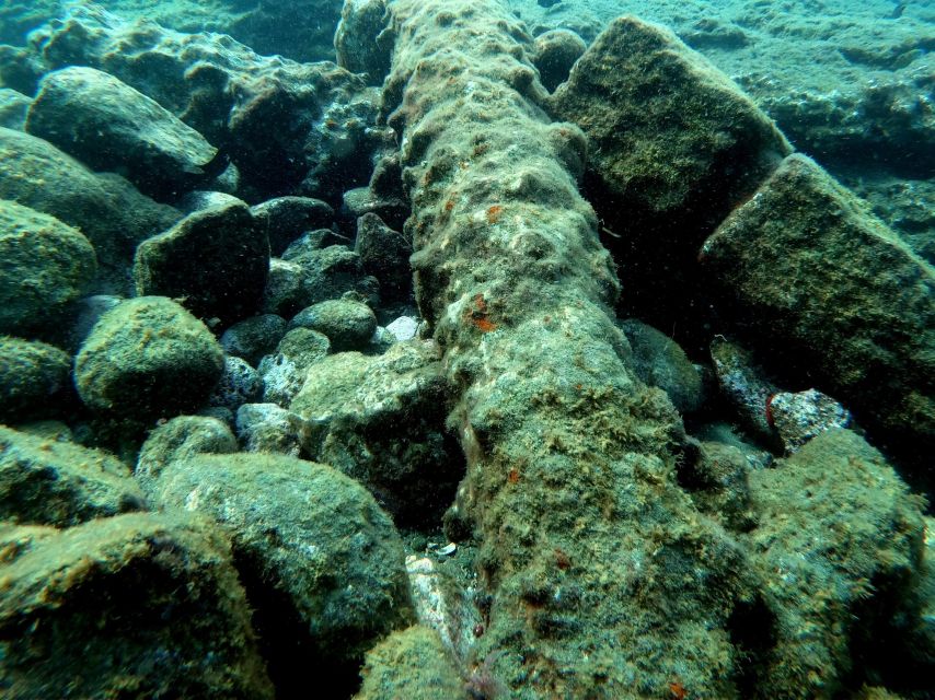 Sao Miguel: Snorkeling around Vila Franca do Campo - The 30-Minute Safety Briefing: Worth Paying Attention To