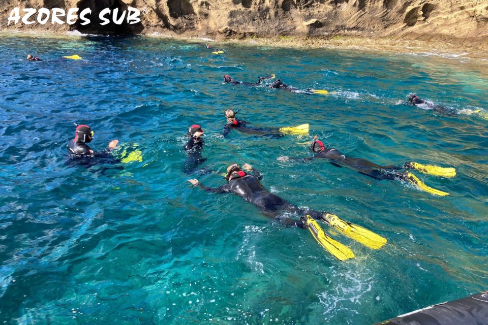 Sao Miguel: Snorkeling around Vila Franca do Campo - Where You Start: Marina Check-In Without Fuss