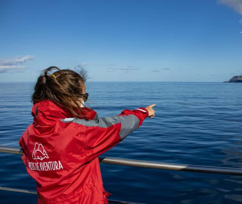 São Miguel: Swim with Wild Dolphins in the Open Ocean - What to Bring for a High-Seas Dolphin Swim (and What Not To)