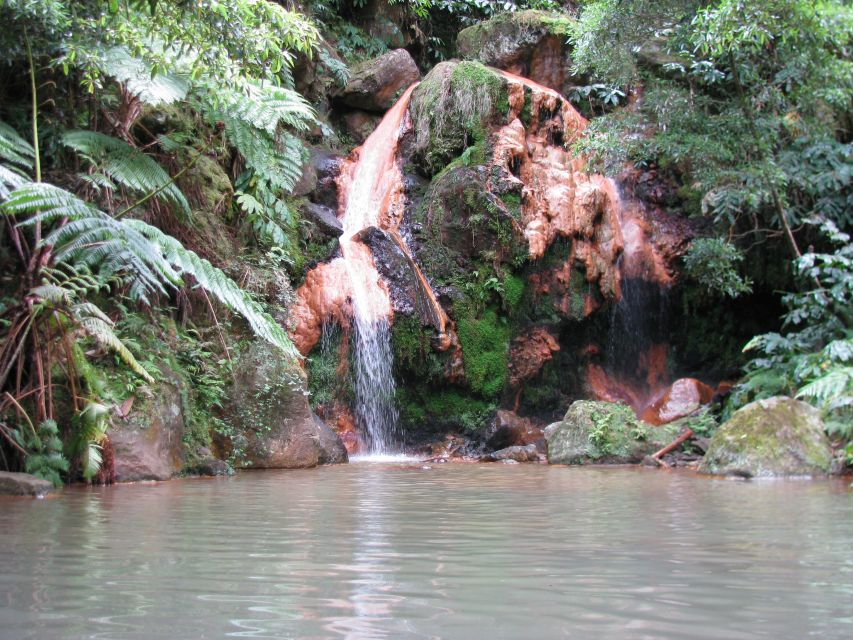 São Miguel: Whales & Volcano Full-Day Tour with Lunch - Who this tour is best for (and who should skip it)