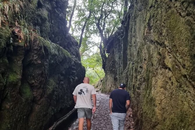 Scenic Hiking and Rum Tasting Experience - Porto da Cruz rum factory: sightseeing plus a real tasting moment