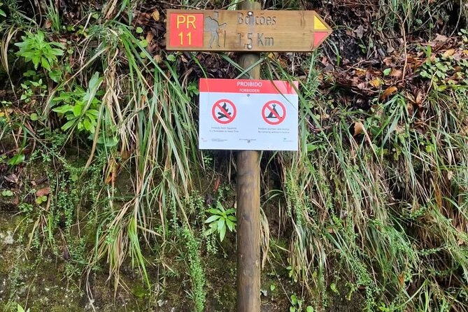 Scenic Hiking and Rum Tasting Experience - Price and value: why $45.78 can feel fair here