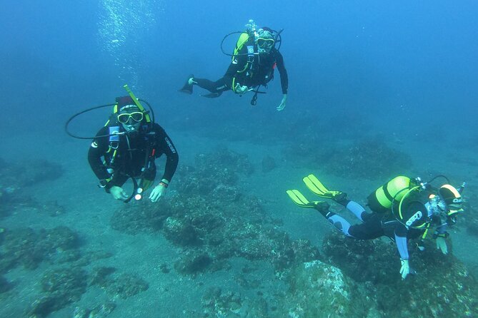 Scuba Diving - Certification, Health Limits, and Flying-After Reality Checks