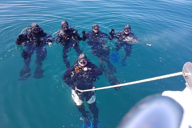 Scuba Diving Albufeira-Double Dive Trip - Easy start at Marina de Albufeira (8:30 am)
