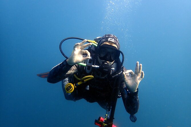 Scuba Diving Albufeira-Double Dive Trip - After the water: hot showers and logging your experience