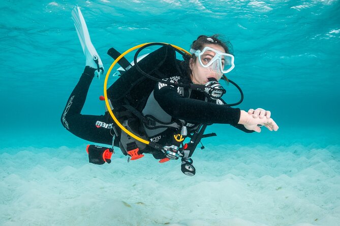 Scuba Diving Experience in Madeira - Your Open-Water Session Off Funchal: What You’ll See and What to Expect