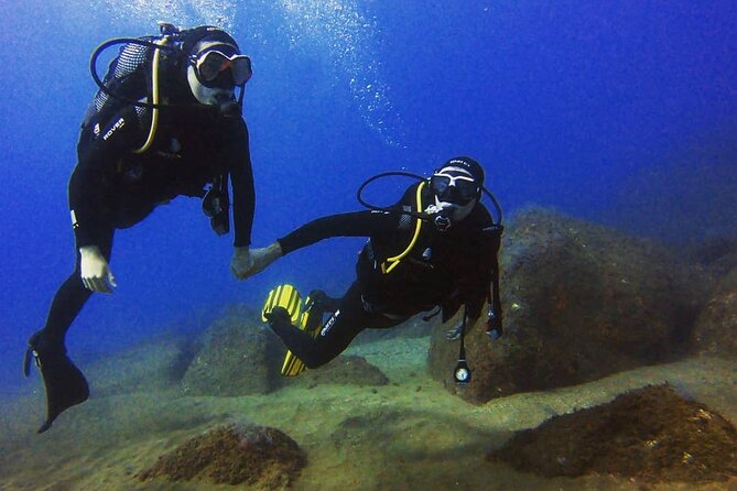 Scuba Diving Experience in Madeira - Price and Value for $50.81 in About 2.5 Hours