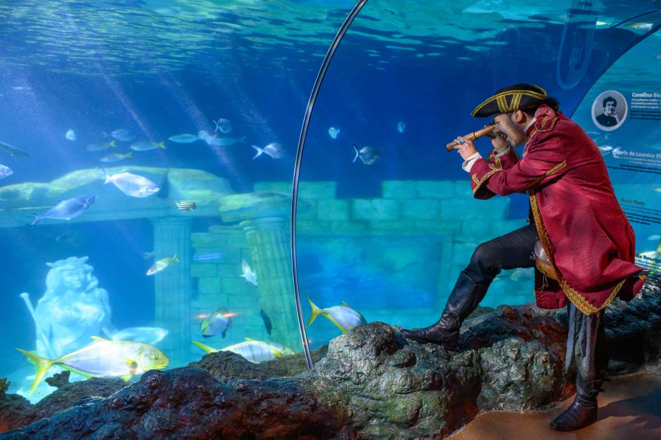 SEA LIFE Porto Full-Day Entrance Ticket - What you’ll see: cow-faced rays, sharks, turtles, and rockpool life