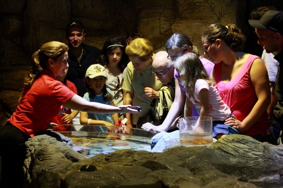 SEA LIFE Porto Full-Day Entrance Ticket - Who should book this ticket (and who might pass)