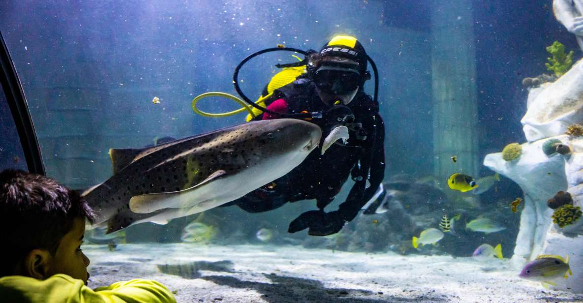 SEA LIFE Porto Full-Day Entrance Ticket - Free educational talks and feeding demonstrations: how to get real value