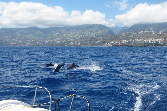 Seaborn Catamaran trips - Cabo Girão Stop: A Scenic Bookmark on the Coastline