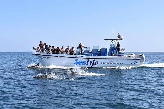 Sealife Sea Safari, Dolphin Watching with Marine Biologist's Lagos - Key highlights at a glance