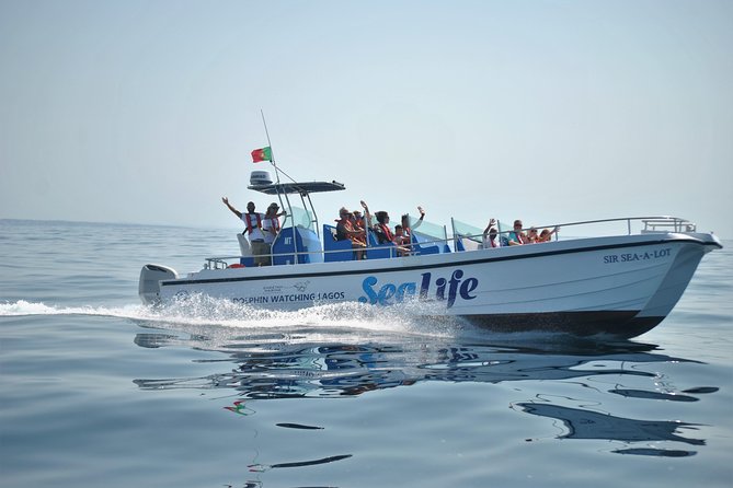 Sealife Sea Safari, Dolphin Watching with Marine Biologist's Lagos - Lagos dolphin watching, with a guide who treats it like real research
