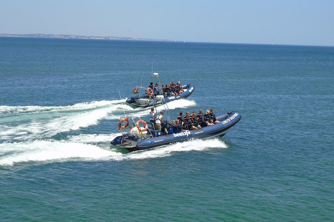 Sealife Sea Safari, Dolphin Watching with Marine Biologist's Lagos - Small-group dolphin watching is a “go when you can” activity