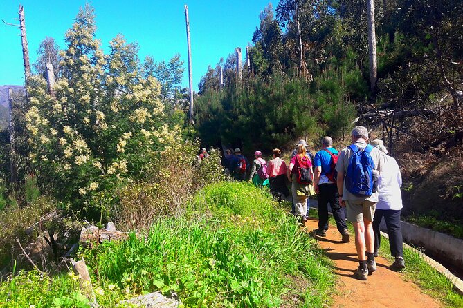 Serra D'Água Valley - Levada Walk - How The Free Pickup Changes The Whole Experience