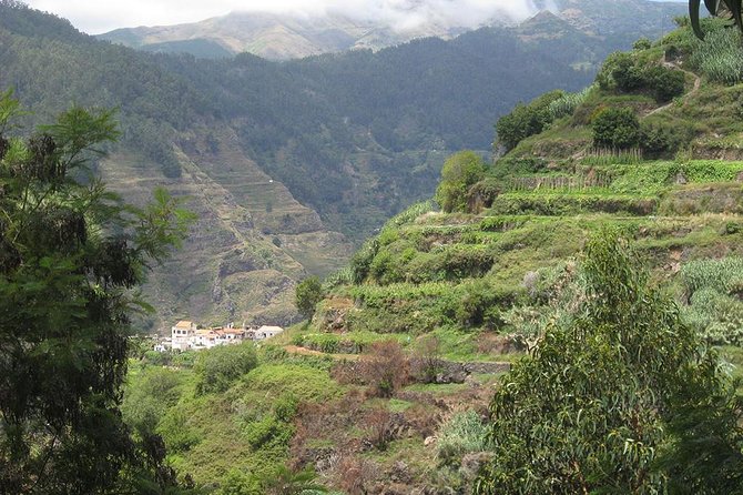 Serra D'Água Valley - Levada Walk - Guide and Pace: Why Professional Matters More Than You Think