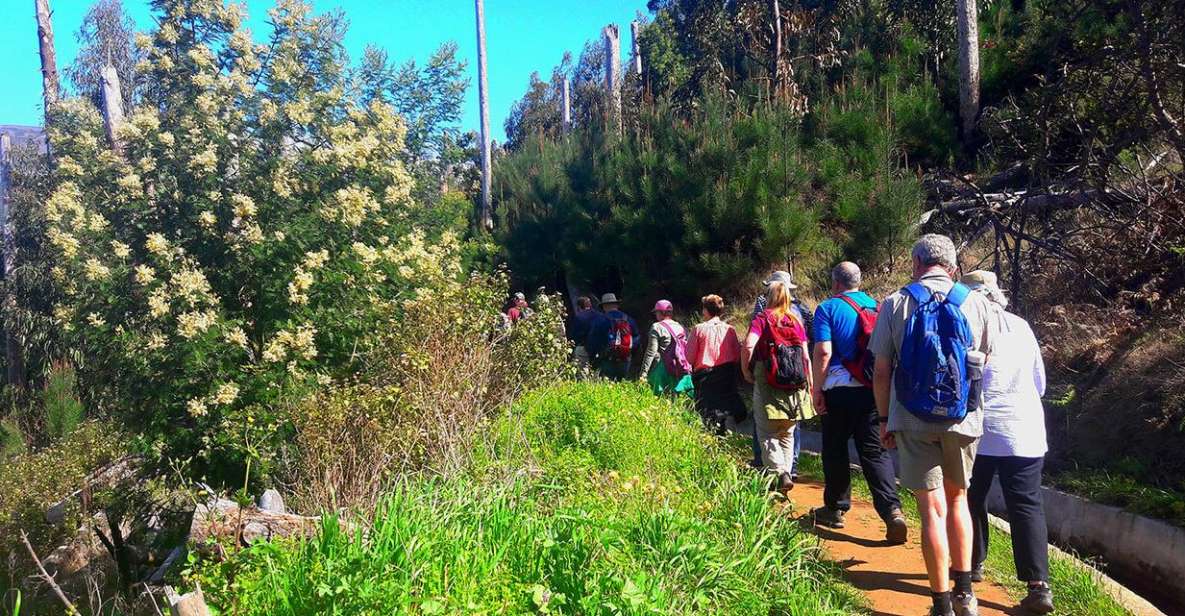 Serra de Água Valley Levada Walk - Serra de Água Valley: why this 5 km levada walk fits your Madeira day