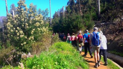 Serra de Água Valley Levada Walk - Getting picked up: the practical start from Funchal, Câmara de Lobos, and Caniço