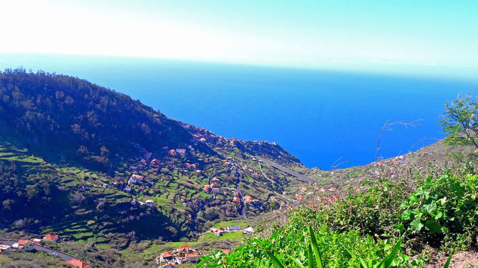 Serra de Água Valley Levada Walk - Native flora and fauna: what your guide really teaches on this walk