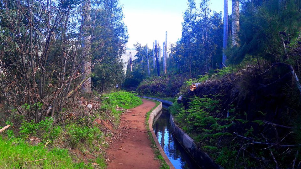 Serra de Água Valley Levada Walk - Rain, mud, and footing: how to stay comfortable without overthinking it