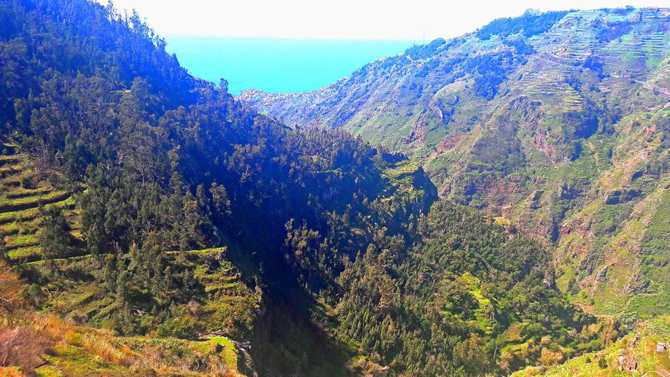 Serra de Água Valley Levada Walk - The end stop: coffee and pastries after your levada walk