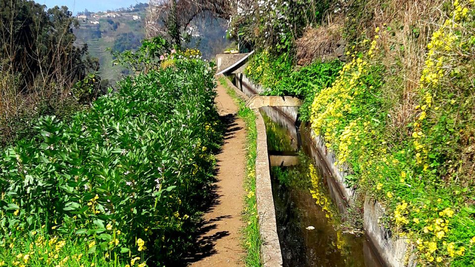 Serra de Água Valley Levada Walk - Price and value: is $38 a good deal for this levada experience?