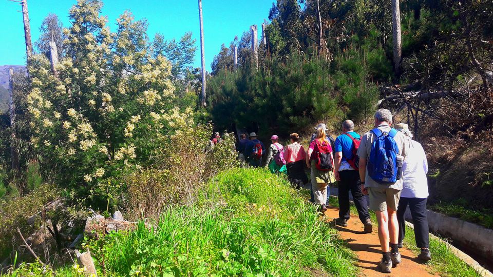 Serra de Água Valley Levada Walk - Getting picked up: the practical start from Funchal, Câmara de Lobos, and Caniço