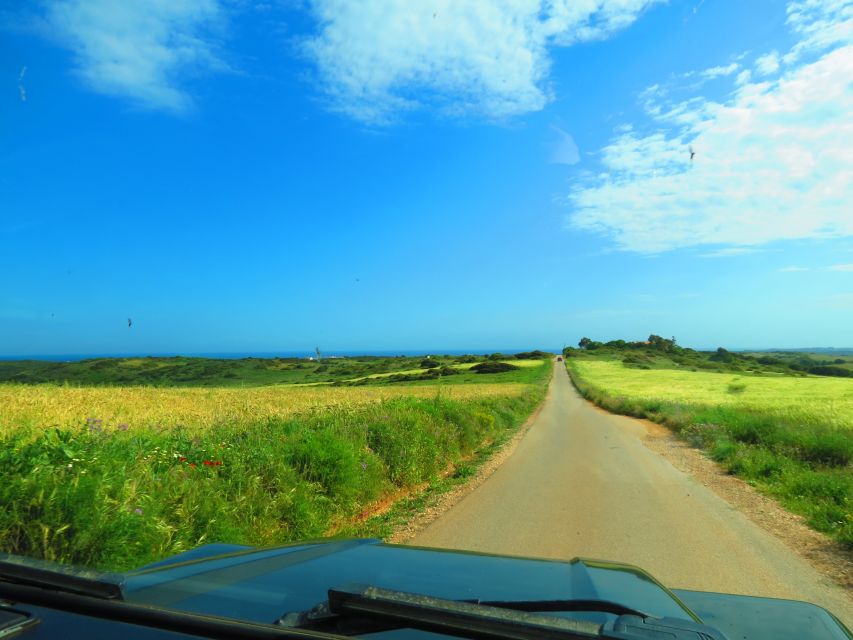Serra de Monchique & Bravura Half Day Off-Road Day Trip - Should you book this tour?