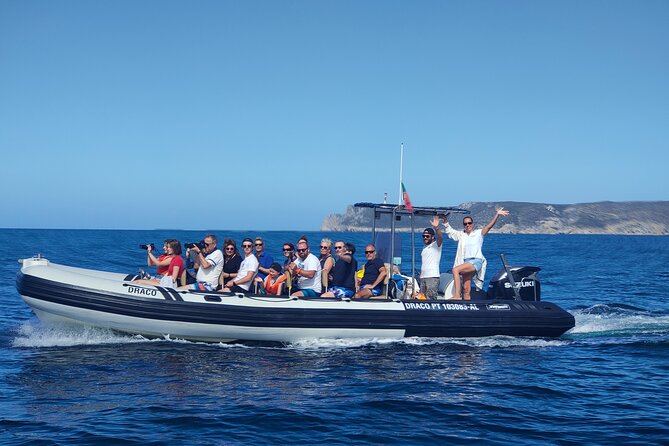 Sesimbra: Arrábida Dolphin and Whale Watching tour with biologist - Arrábida from Sesimbra: why this area feels special