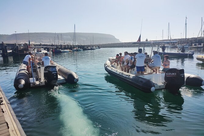 Sesimbra: Arrábida Dolphin and Whale Watching tour with biologist - Ribeira do Cavalo stop: the swim and snorkel moment