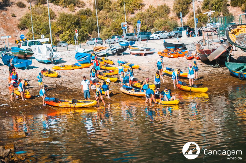 Sesimbra: Arrábida Natural Park Guided Kayaking Tour - Cliff Views, Caves, and Beach Coves: The Best Stops to Look For