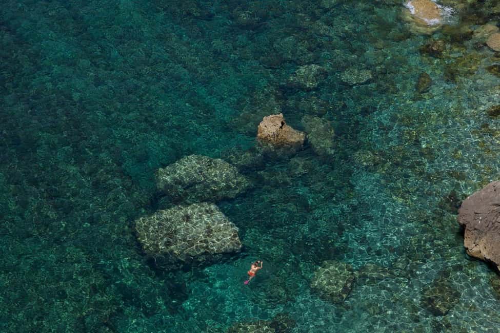 Sesimbra: Caves & Secret Beaches - Eco-minded coastal cruising and how you’ll spot marine life