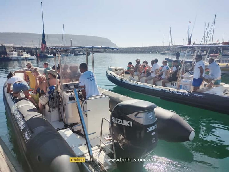 Sesimbra: Dolphin and Whales Watching with Biologist Guide - Sesimbra and Arrábida: why a biologist makes the difference